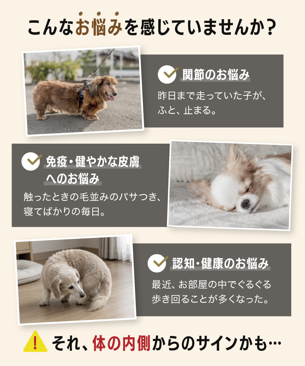 【新商品お試し50%OFF SALE】アニマルパウダー