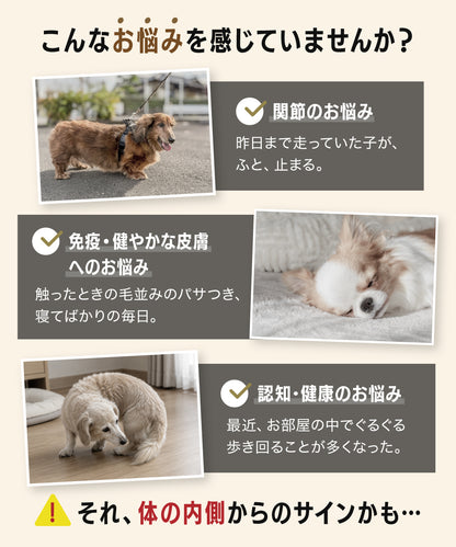 【新商品お試し50%OFF SALE】アニマルパウダー