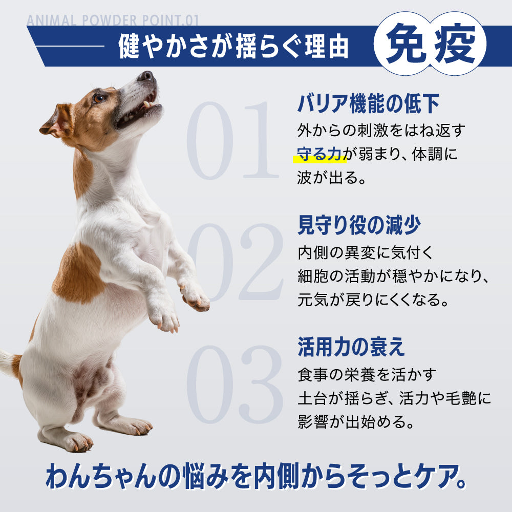 【新商品お試し50%OFF SALE】アニマルパウダー