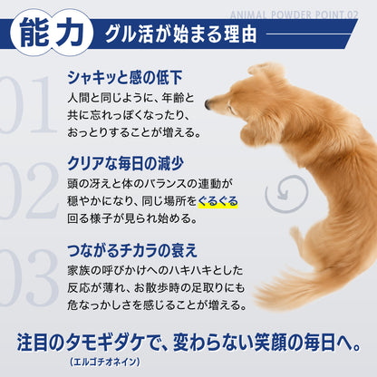 【新商品お試し50%OFF SALE】アニマルパウダー