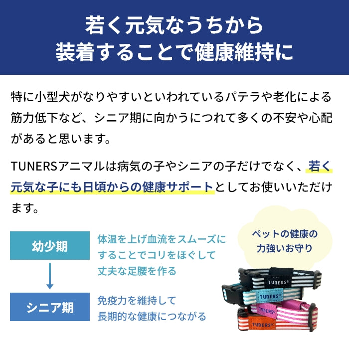 TUNERSアニマル