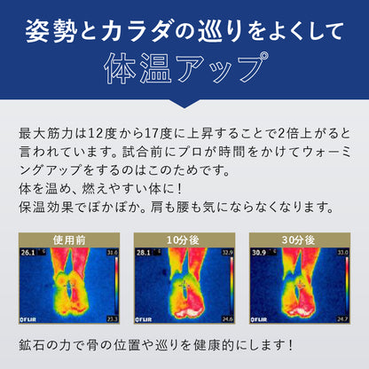 バランスインソール