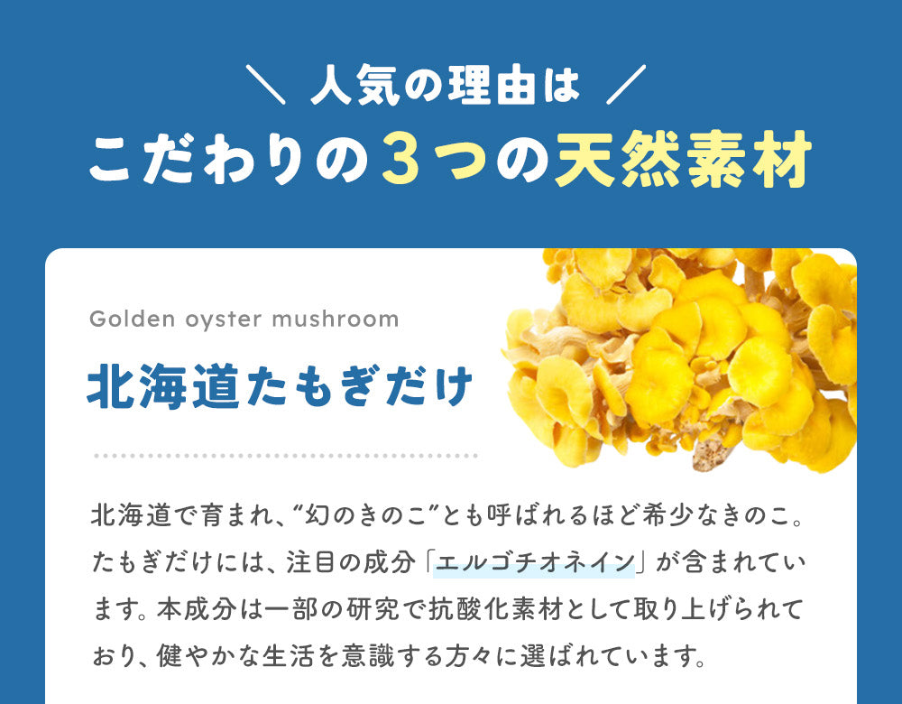 TUNING POWDER サプリメント